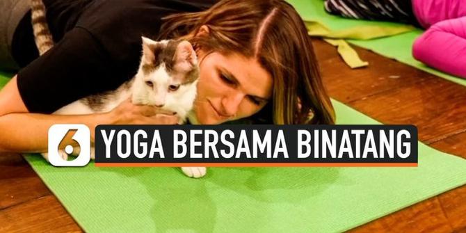 VIDEO: Asyiknya Yoga Bersama Anjing dan Kucing