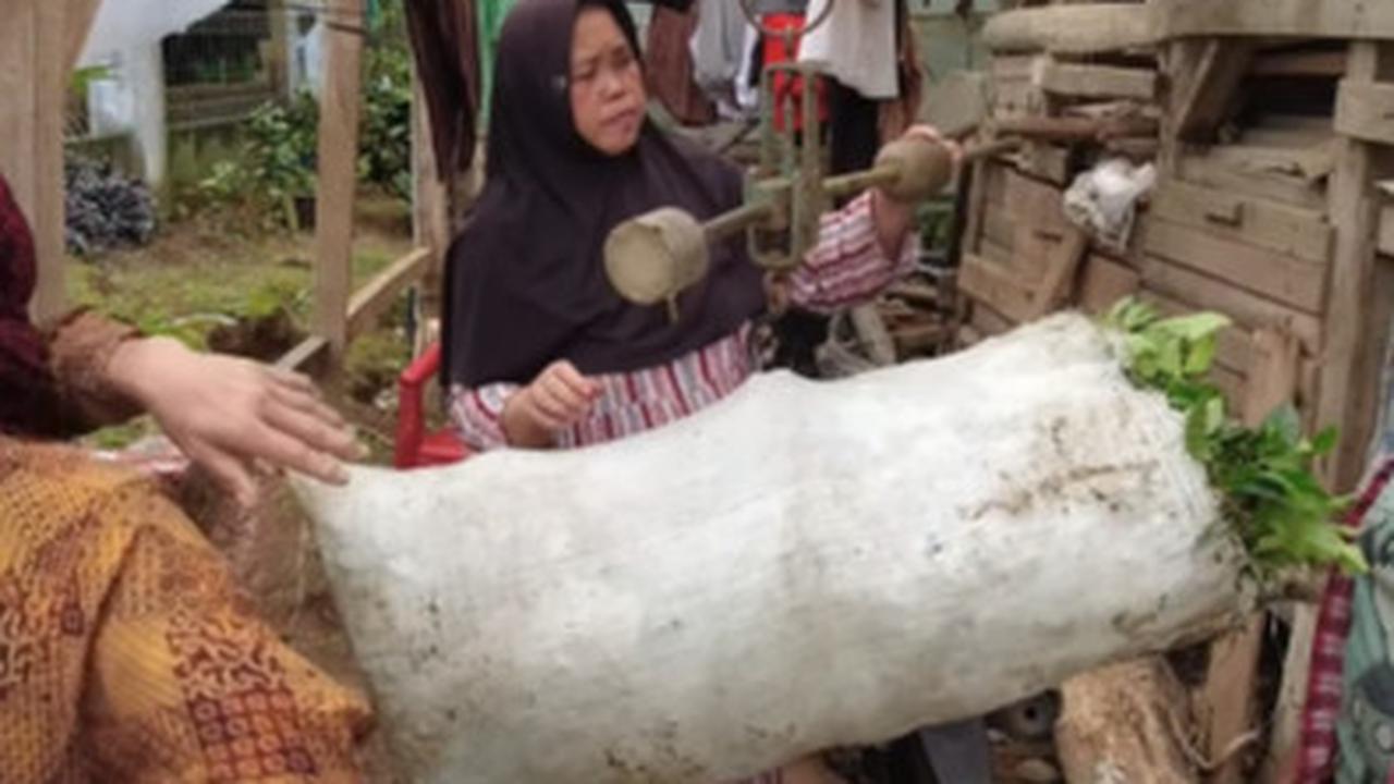 jamilah tinggal di hutan