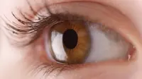 Sclera adalah bagian berwarna putih di sekeliling pupil mata. (Sumber ucl.ac.uk)