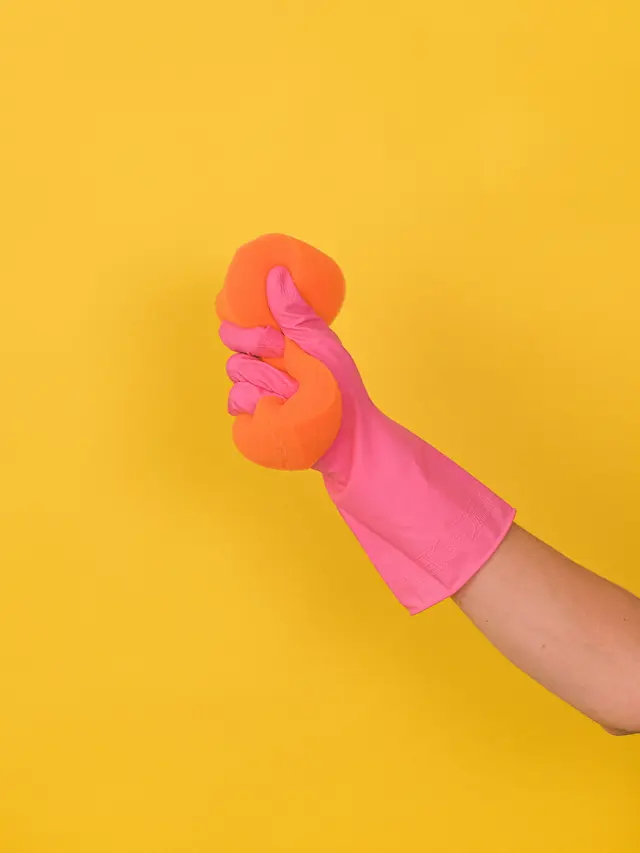 Contoh ilustrasi lap bersih