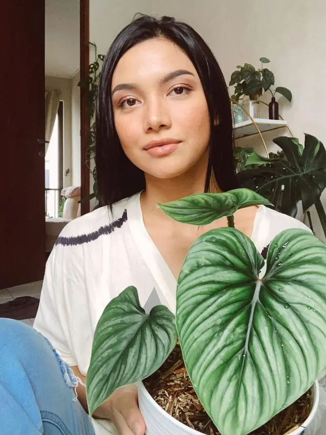 Angela Gilsha dan Tanaman Hias