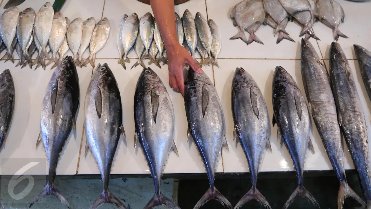 Ikan di Indoensia