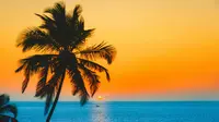 The best places to visit in North Goa. (Photo: Ashutosh Saraswat/Unsplash)