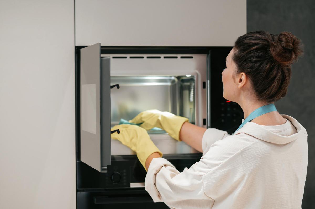 Ilustrasi Memanaskan Spons alam Microwave