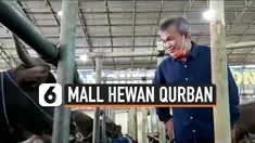haji doni thumbnail