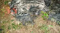 Masyarakat Kabupaten Blora, Jawa Tengah, digegerkan kabar adanya pesawat yang jatuh di wilayah Kecamatan Kradenan. (Liputan6.com/ Ahmad Adirin)
