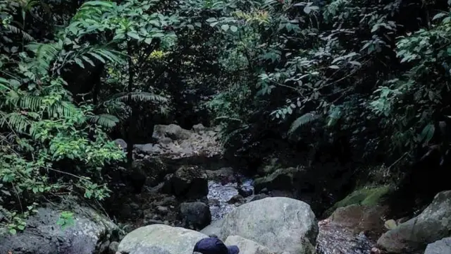 Curug Kembar Bogor di Desa Wisata Batulayang