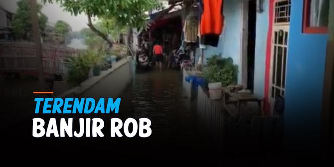 VIDEO: Ratusan Rumah di Kalideres Terendam Banjir Rob