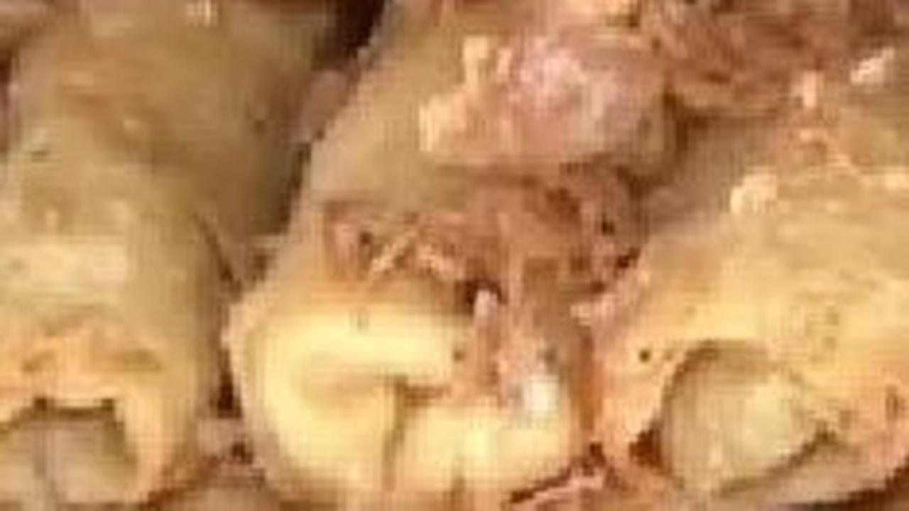 Mencicipi Sosis Solo Mbah Bedug, Kuliner Unik Khas Boyolali yang Namanya Diberikan oleh Raja Keraton Surakarta
