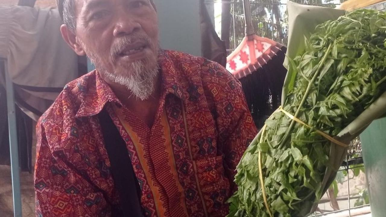 Petani Lebak Raup Jutaan Rupiah dari Jualan Daun Pakis di Jakarta, Lepas dari Kemiskinan
