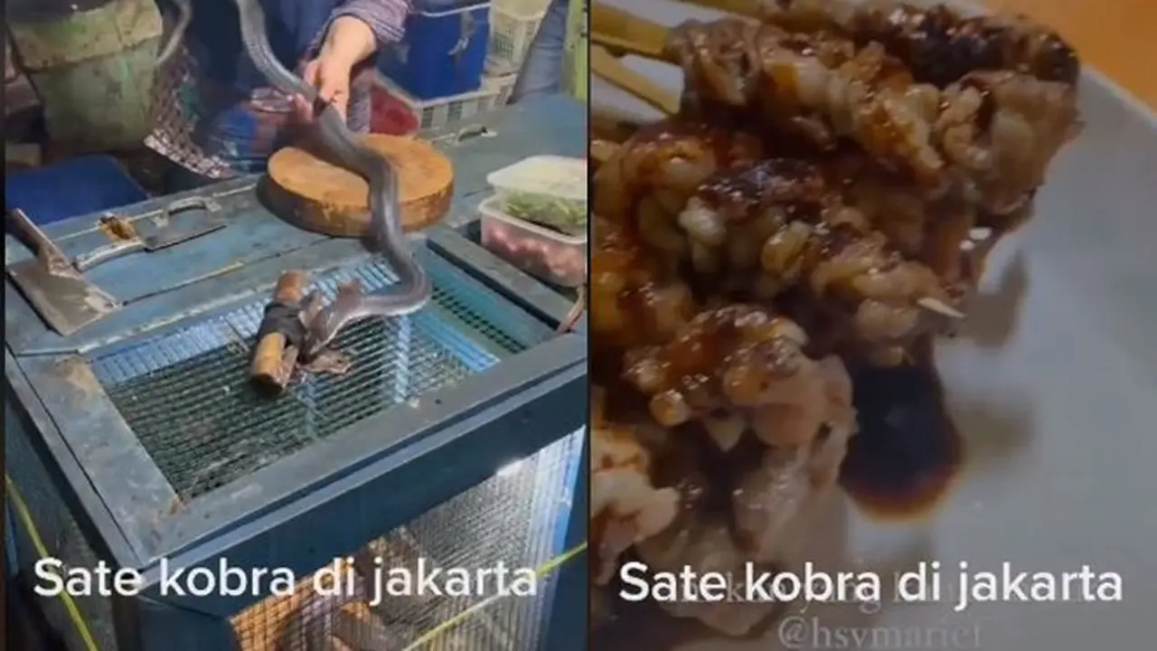 Viral Ada Sate Kobra di Jakarta, Proses Pembuatannya Bikin Bergidik