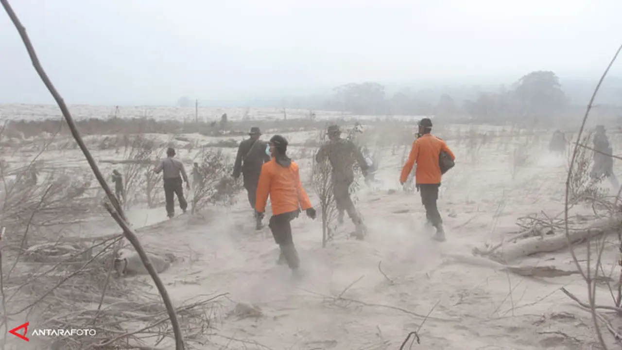 pencarian-sinabung-140203c.jpg