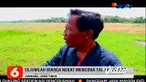 Warga di Desa Banjardowo, Jombang, Jawa Timur, dihebohkan dengan fenomena likuefaksi atau berubahnya kekuatan struktur tanah, setelah dua hari sebelumnya diguyur hujan.