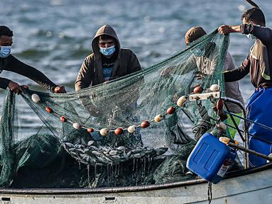 Nelayan Palestina mengumpulkan hasil tangkapan dari jaring saat menangkap ikan di Laut Mediterania, Rafah, Jalur Gaza, Rabu (2/9/2020). (SAID KHATIB/AFP)
