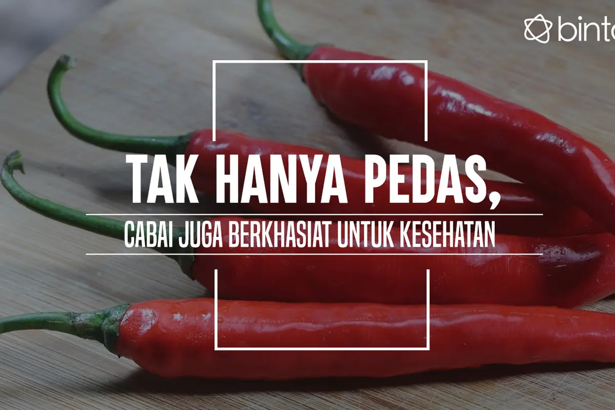 Manfaat cabai. (Foto: Adrian Putra, Digital imaging: M. Iqbal Nurfajri/Bintang.com)