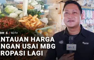 Pantauan Harga Pangan Usai MBG Beroperasi Lagi