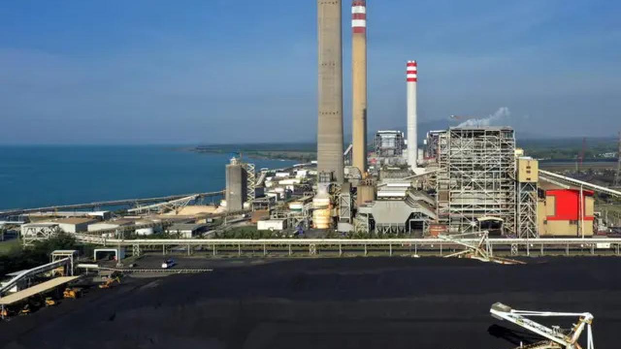Serbuk Sorgum Disulap Jadi Sumber Energi PLTU