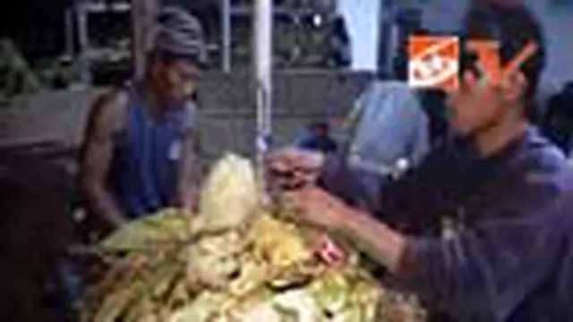 Berebut Gurihnya Tembakau