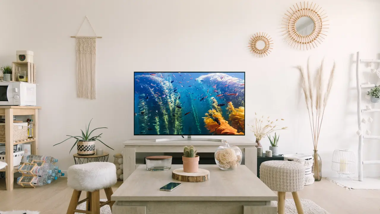 tv - vania