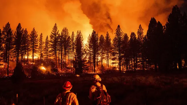Kebakaran Hutan Hebat Landa California