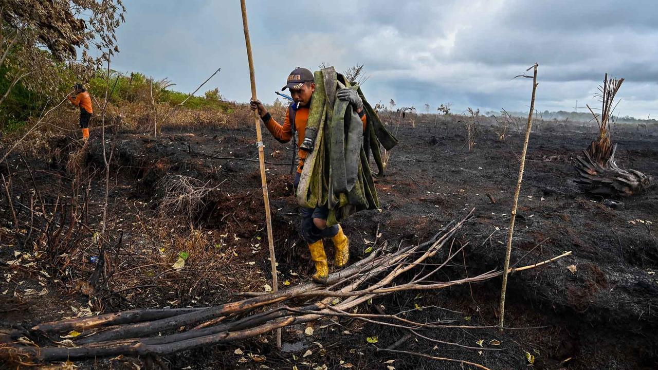 FOTO: Semangat Petugas BPBD Aceh Barat di Tengah Sulitnya Memadamkan Api di Hutan Gambut