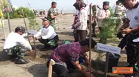 Penanaman 4000 Cemara Laut di Pantai Larangan