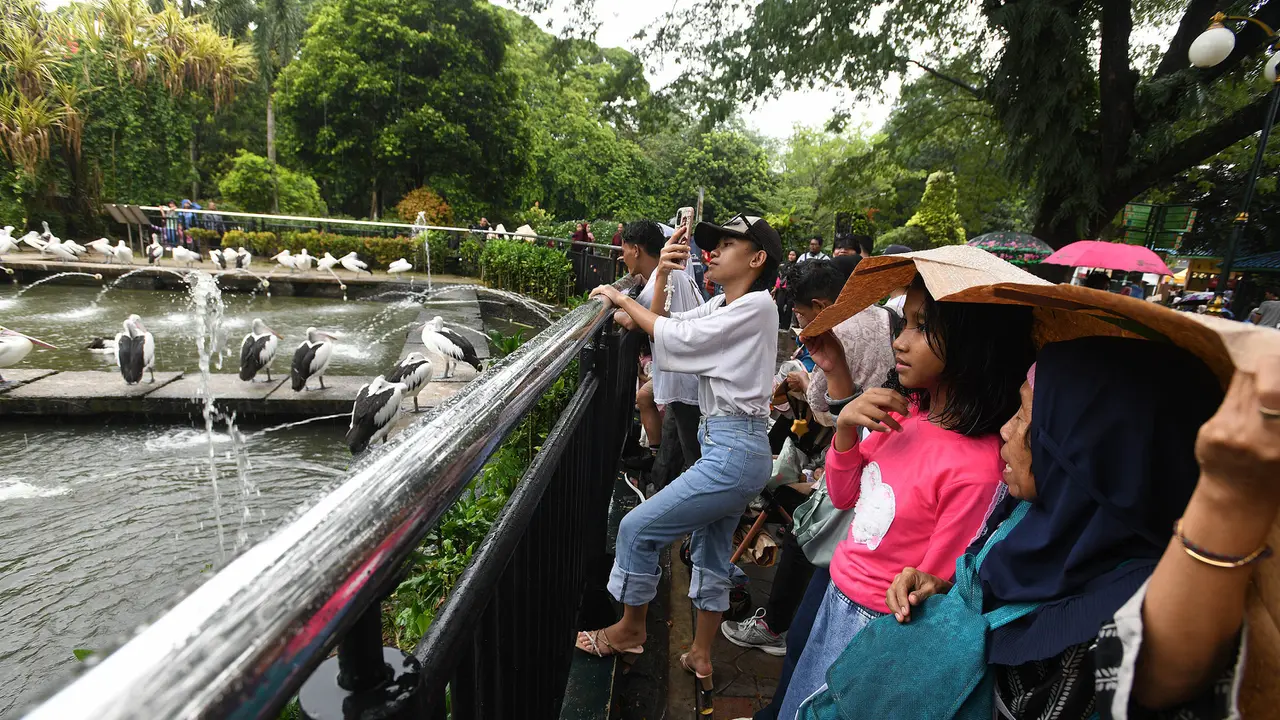 Ribuan Pengunjung Padati Kebun Binatang Ragunan Jakarta