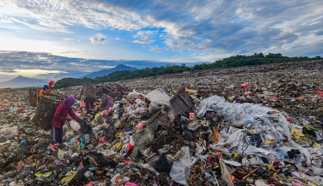 Warga yang berprofesi sebagai pemulung mengumpulkan sampah plastik dengan latar belakang Gunung Gede-Pangrango di Tempat Pembuangan Akhir Galuga, Bogor, Kamis (6/11/2025). Selain itu, capping juga mencegah sampah berhamburan akibat tertiup angin, serta mengontrol pelepasan gas metana dari tumpukan sampah. (merdeka.com/Arie Basuki)