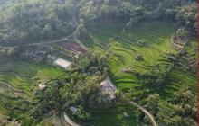 Dulunya Terdapat 35 Kepala Keluarga, Ini Kisah Kampung Mati Wonogiri