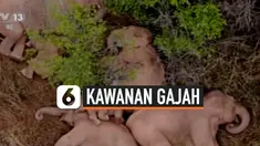 vertical kawanan