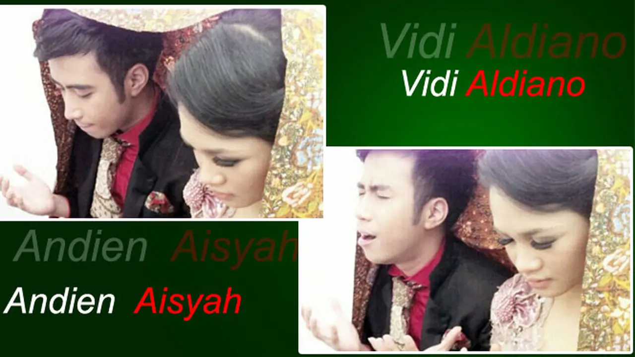 vidi-andien-121228bb.jpg