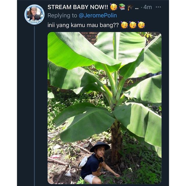 Jerome Polin Minta Fotonya Diedit Sedang Berkebun, 6 Hasilnya Kocak Banget