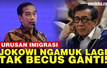 VIDEO: Jokowi Ngamuk Depan Menteri soal Imigrasi, Suruh Ganti Dirjen Tak Becus Kerja