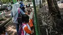 Sejumlah anak TK melihat rusa di Taman Marga Satwa Ragunan, Jakarta, Kamis (13/12). Kegiatan tersebut juga untuk memberikan wawasan kepada anak-anak betapa pentingnya mencintai satwa. (Liputan6.com/Faizal Fanani)