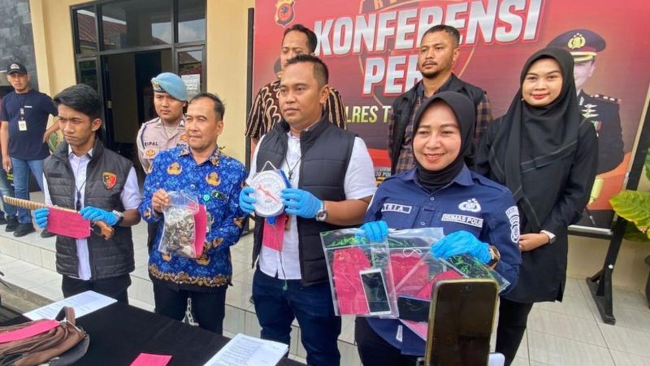 Polres Tasikmalaya Bongkar Jaringan Perdagangan Ilegal Trenggiling, Dua Tersangka Diamankan