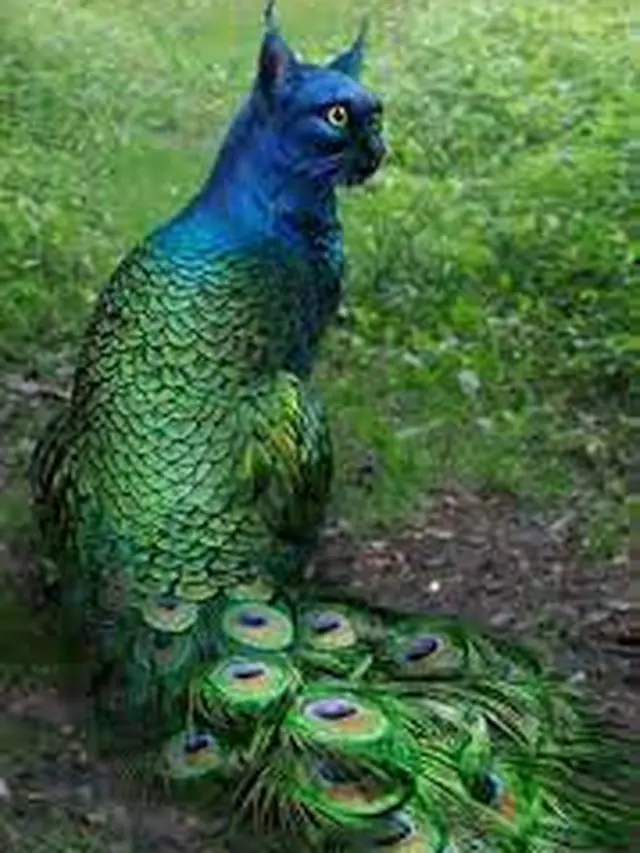 6 Editan Foto Kucing Campuran Burung Ini Nyeleneh, Bikin Bingung