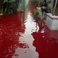 Air banjir berwarna merah, di Pekalongan. (Foto: Liputan6.co,/FB. Dudo Anak Limo)