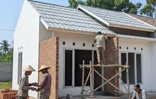 6 Jenis Bahan Bangunan Rumah yang Tahan Terhadap Serangan Tikus dan Aman untuk Hunian Modern
