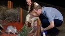 Di kebun binatang Taronga, Sydney, Australia, (20/4/2014), Pangeran William mengajak putranya, George melihat Bilbies (sejenis kelinci yang keberadaannya hampir punah). (REUTERS/David Gray) 