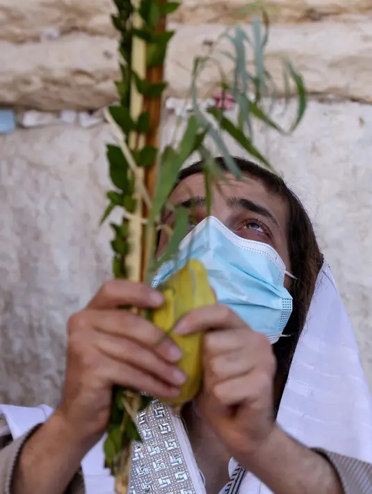 Umat Yahudi memegang daun palem, jeruk, daun pohon murad dan cabang willow saat berdoa memperingati Hari Raya Sukkot di Tembok Barat, Kota Tua Yerusalem, 22 September 2021. Sukkot adalah hari raya untuk memperingati eksodus bangsa Israel dari Mesir sekitar 3200 tahun yang lalu. (Emmanuel DUNAND/AFP)