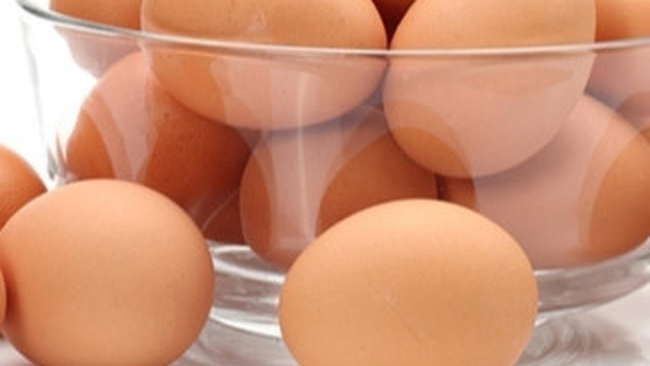 Ilustrasi telur ayam