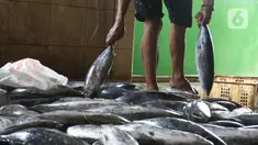 Pekerja membersihkan ikan cakalang untuk dijual ke pasar di Rumah Produksi Ikan Cakalang, Jagakarsa, Jakarta, Sabtu (19/11/2022). Kementerian Kelautan dan Perikanan (KKP) mengajak masyarakat untuk mengkonsumsi olahan ikan asli Indonesia yang komposisi gizinya tidak kalah dengan ikan impor dan harga yang lebih terjangkau. (Liputan6.com/Herman Zakharia)