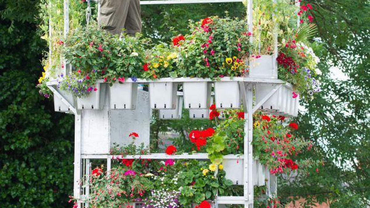Menakjubkan, Taman Gantung di Menara Setinggi 7 Meter - Global Liputan6.com