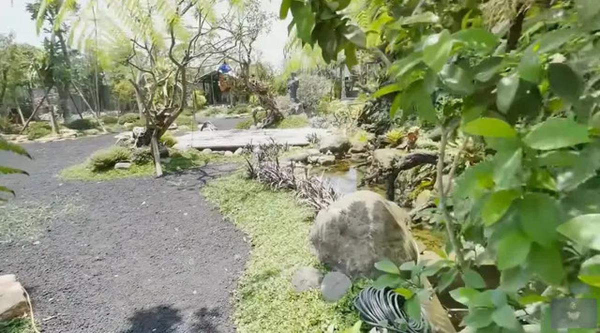 Model Kolam di Taman Rumah Soimah yang Luas Banget, Asri dengan Detail Artistik