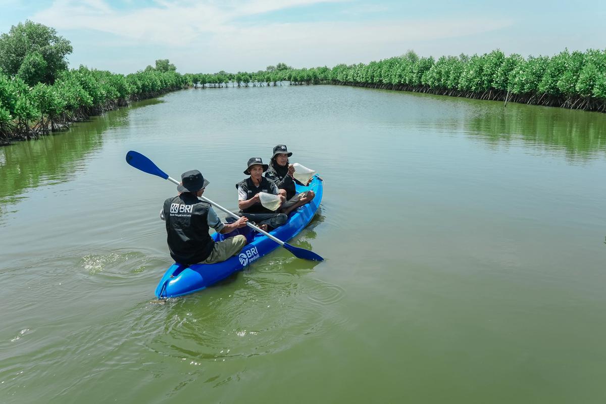 BRI Perkuat Komitmen Jaga Ekosistem Pesisir Lewat Penanaman Mangrove di Muara Gembong Bekasi