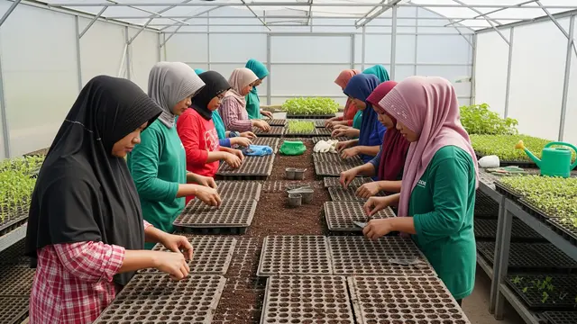 6 Tips Menyemai Sayur agar Panen Tidak Putus, Ala Kelompok Wanita Tani