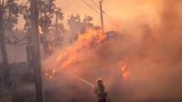Kepala Pemadam Kebakaran Los Angeles Kristin Crowley menyebut hampir 26.000 orang dari lebih 10.000 rumah tangga dan 13.000 bangunan terancam kebakaran. (Apu Gomes/Getty Images North America/Getty Images via AFP)