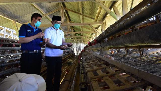 Calon Gubernur Jawa Barat Ridwan Kamil menyambangi Paguyuban Peternak Ayam Petelur Kabupaten Ciamis (P2APC) di Desa Cigembot, Muktisari, Ciamis (istimewa)