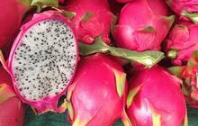 7 Manfaat Buah Naga untuk Promil, Tingkatkan Produksi Hormon