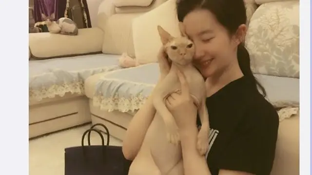 Sosok Liu Yifei, Si Cantik Pemeran Mulan yang Cinta Kucing